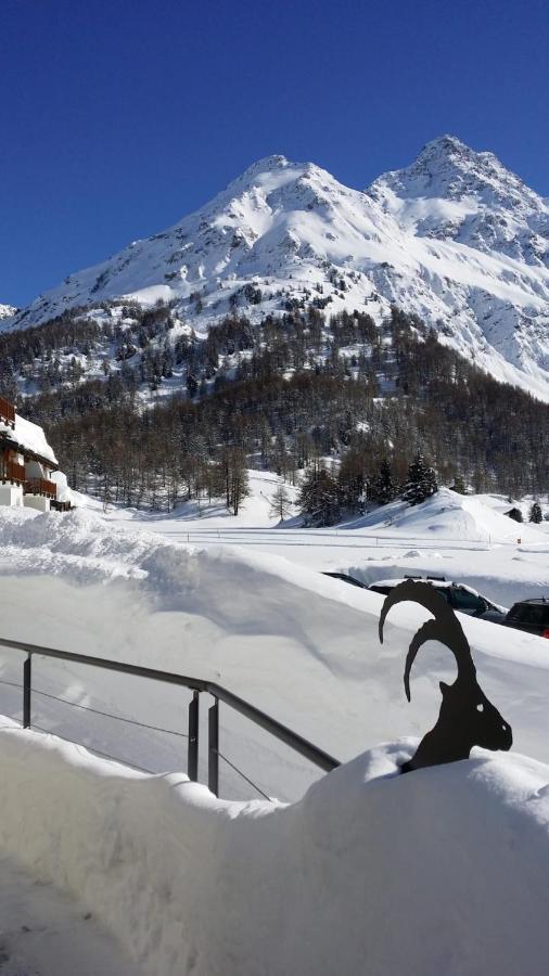 Maloja Kulm Hotel Экстерьер фото